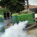 fogging Foto: Petugas Dinkes Bandar Lampung sedang melakukan pengasapan untuk memberantas sarang nyamuk.