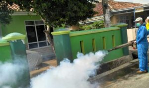 fogging Foto: Petugas Dinkes Bandar Lampung sedang melakukan pengasapan untuk memberantas sarang nyamuk.