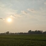 IMG-20260706-WA0002