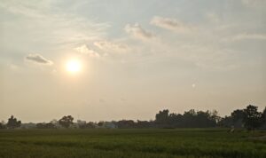 IMG-20260706-WA0002