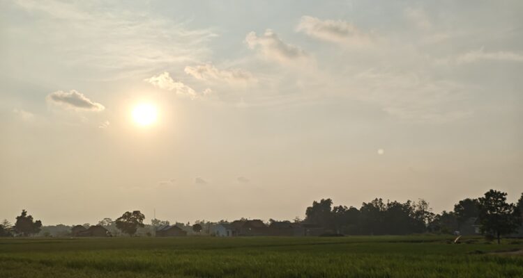 IMG-20260706-WA0002